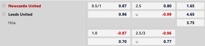 Soi kèo Newcastle vs Leeds