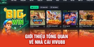 Vivu88 – Điểm Đến Giải Trí Trực Tuyến Đỉnh Cao Nhất Năm 2026