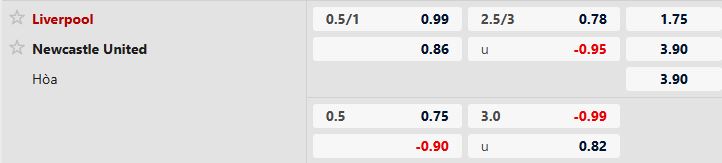 Liverpool vs Newcastle